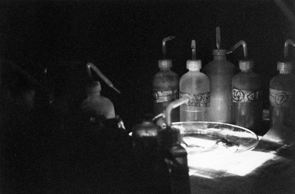 Paul Spong Performance